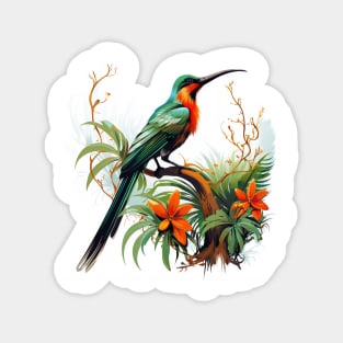 Sunbird Magnet