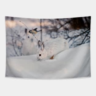 Snow Shoe Hare Tapestry