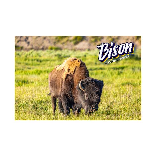 Bison at Yellowstone by Gestalt Imagery