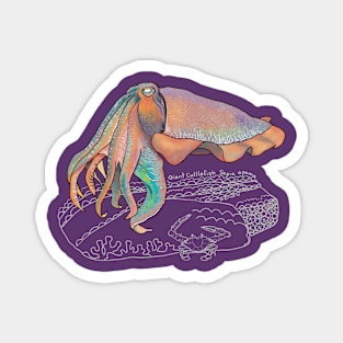 Cuttlefish Doodle-dark background Magnet