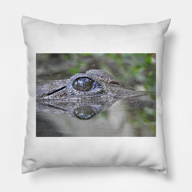 Freshwater Crocodile Pillow by kirstybush