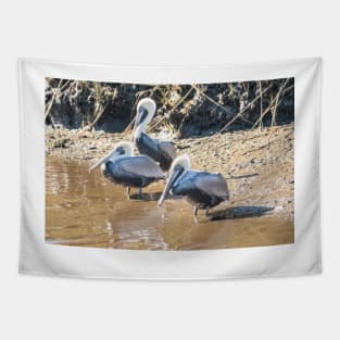 Brown pelican in Intracoastal Waterway Tapestry