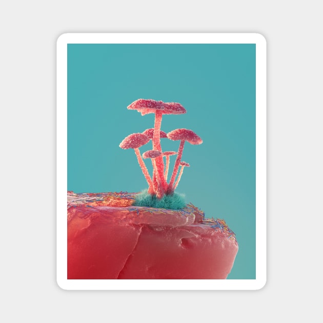 Mushrooms Magnet by NineSidedShape