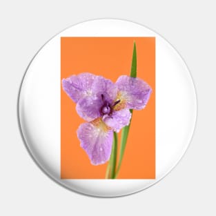 Iris Pin