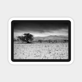 Pen y Fan and Corn Du from Mynydd Illtyd, Brecon Beacons Magnet