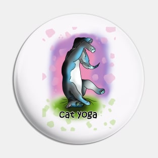 Cat yoga 2 Pin