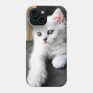 My Chinchilla Baby Phone Case