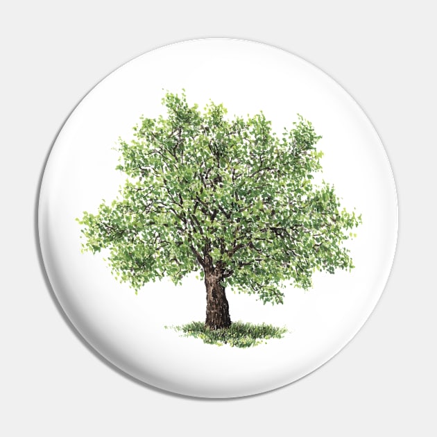 July birthday walnut tree Pin by birthflower