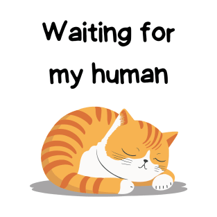 Sleeping Affirmation Cat Waiting for my human | Cat Lover Gift | Law of Attraction | Positive Affirmation | Self Love T-Shirt