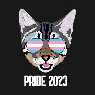 PRIDE 2023 - Cute Cat Sunglasses Trans Pride Flag T-Shirt