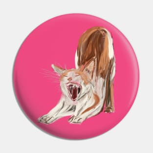 Yawning Cat Pin