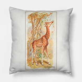 Giraffe (1890) Pillow