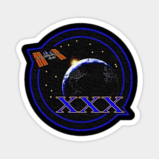 Black Panther Art - NASA Space Badge 78 Magnet