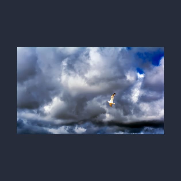 Seagull bird flying over a cloudy blue sky by lena-maximova