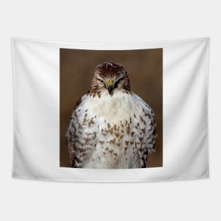 Red-tailed Hawk Tapestry