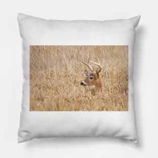 In the marsh - White-tailed deer Pillow