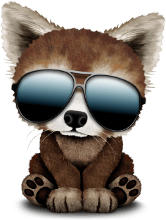 Cool Baby Red Panda Wearing Sunglasses Magnet