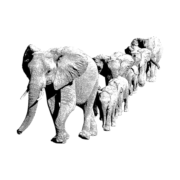 Elephant Family in Procession | African Wildlife by scotch