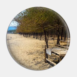 White sand beach with pine trees and selfmade bamboo bench Pin