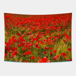 Poppies field Tapestry