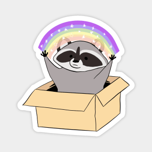 Funny Raccoon in a box with a rainbow Magnet