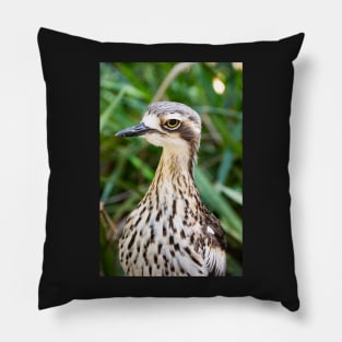 Bush stone curlew bird. Pillow