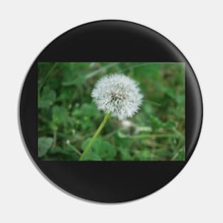 Make a Wish Dandelion Pin