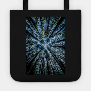 Conifer Trees View Looking Up Tote