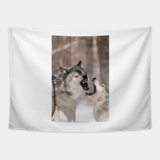 Timber wolves in winter Tapestry