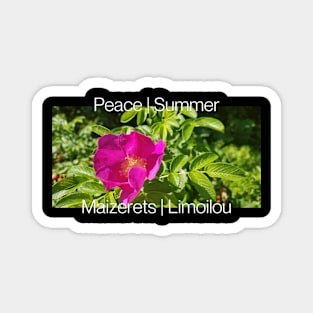 Peace | Summer DRK Magnet