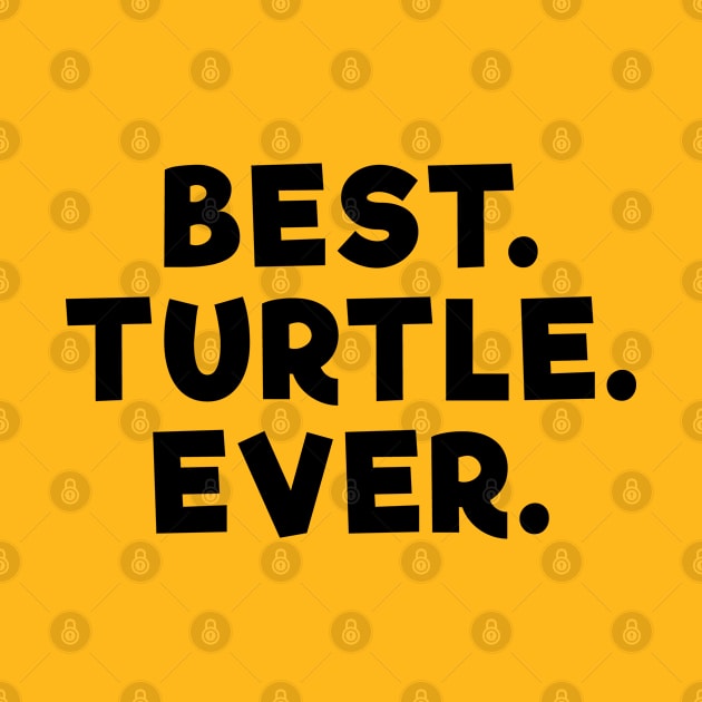 Best Turtle Ever by Dolta