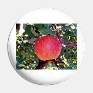 Honey Crisp Solo Pin