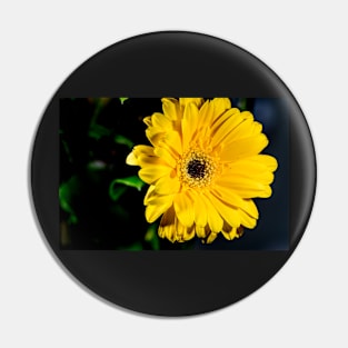 Yellow Mum with shadows Pin