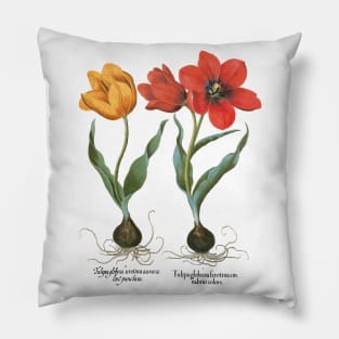 Tulips by Basilius Besler Pillow