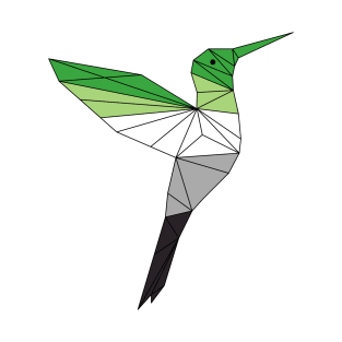 Aromantic Hummingbird T-Shirt