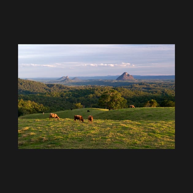 Glasshouse Mountains, Sunshine Coast Queensland by AndrewGoodall