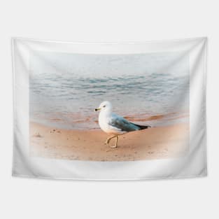 Seagull on the Beach at Okanagan Lake Tapestry