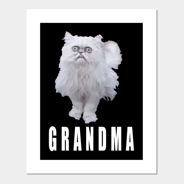 This Stray Cat Looks Like Grandma Meme Cat Poster E Stampa