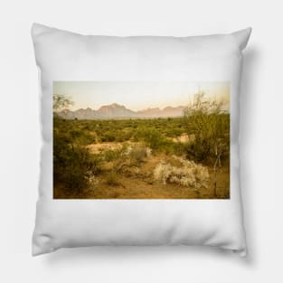 Rajasthan Sunset Pillow