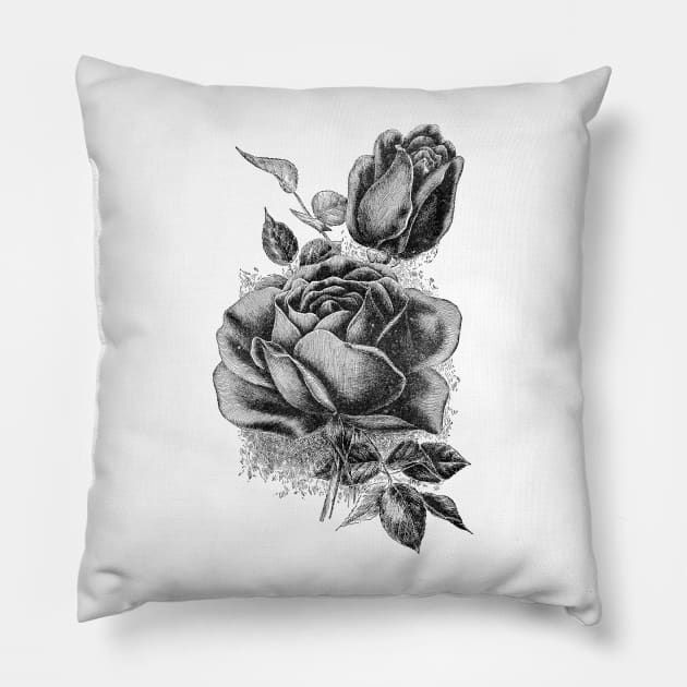 Black Rose Flower Ink Drawing Pillow by Biophilia