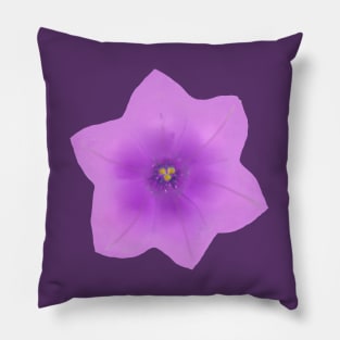 Pretty Purple Petunia Pillow
