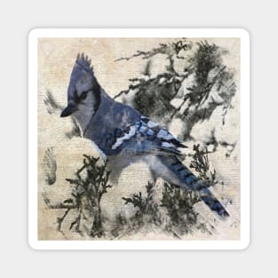 primitive christmas snow pine tree blue jay bird Magnet