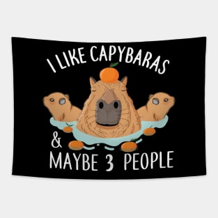I like Capybaras and maybe 3 people Funny Baby Capybara Tapestry