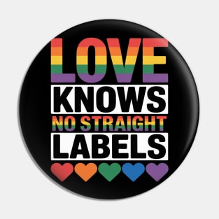 Love Knows No Straight Labels LGBT Gay Ally Queer Pride Pin