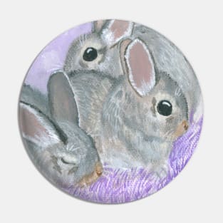 Baby Cottontail Rabbits Pin