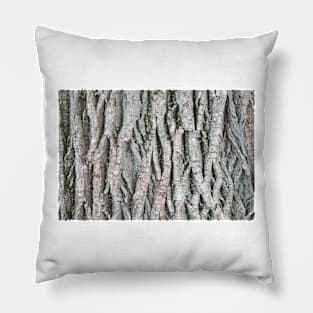 Tree bark background Pillow