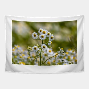 Wild Chamomile Tapestry