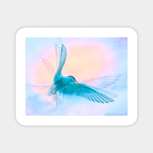 Ethereal Arctic Tern Magnet