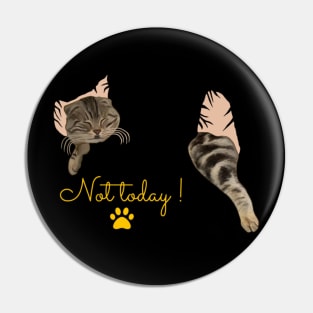 Not today - Sleeping Cat Pin