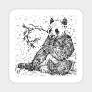 PANDA eating - pencil portrait Magnet